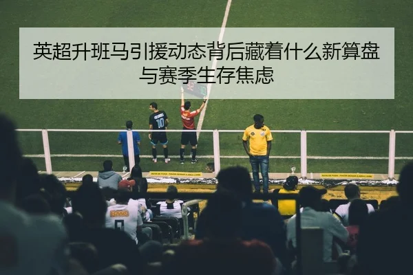 英超升班马引援动态背后藏着什么新算盘与赛季生存焦虑